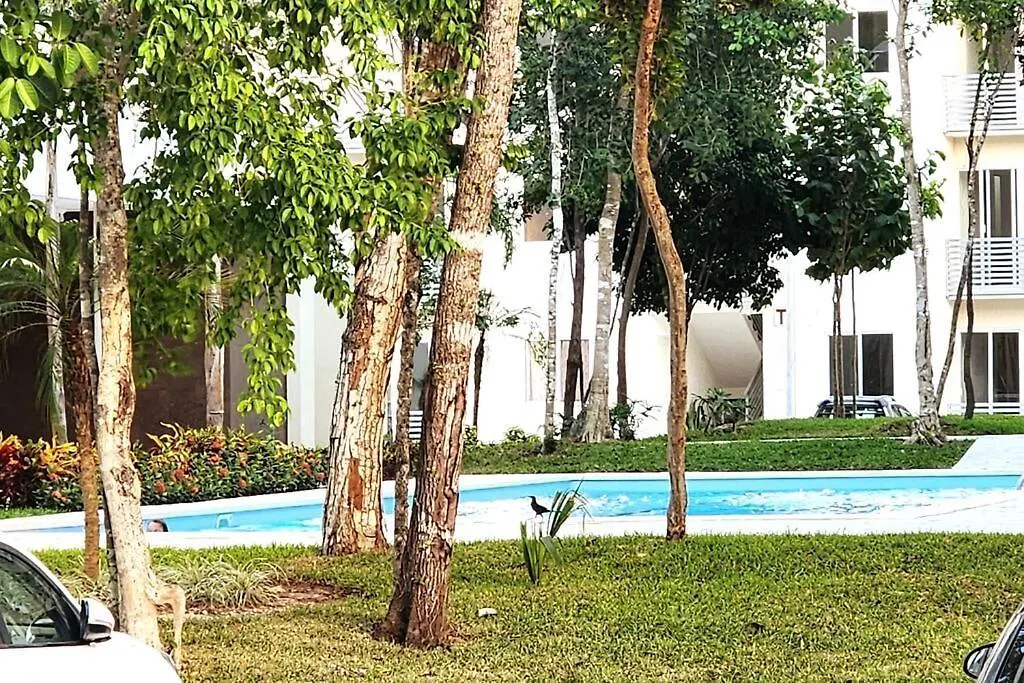 Comodo Apartamento En Planta Baja, Alberca A 20 Pasos, Modelo Ano 2023 Playa del Carmen Mexico